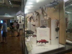 ROM - Biodiversity Exhibit